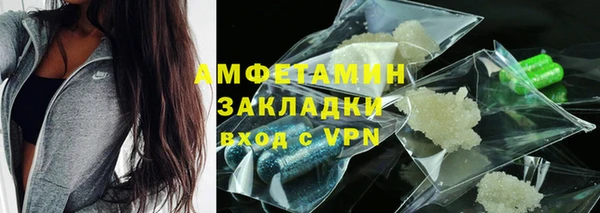 индика Бронницы
